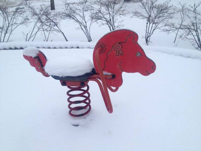 12516252_10207067206095439_818166514_n