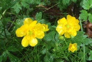 19339978_10211363274174456_1459446356_o (1)