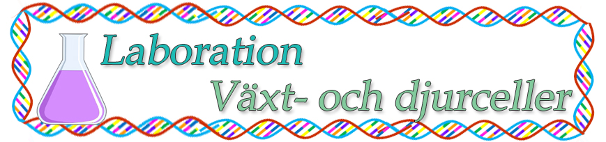 laboration_inlägg.jpg