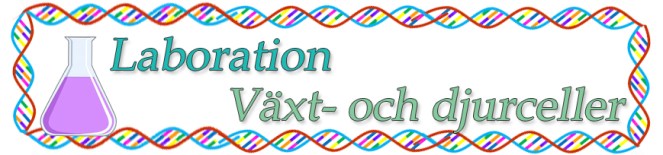 laboration_inlägg.jpg