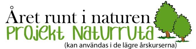 naturruta.jpg