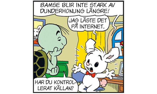 Bamse_kallkritik_LilleSkutt-1.jpg