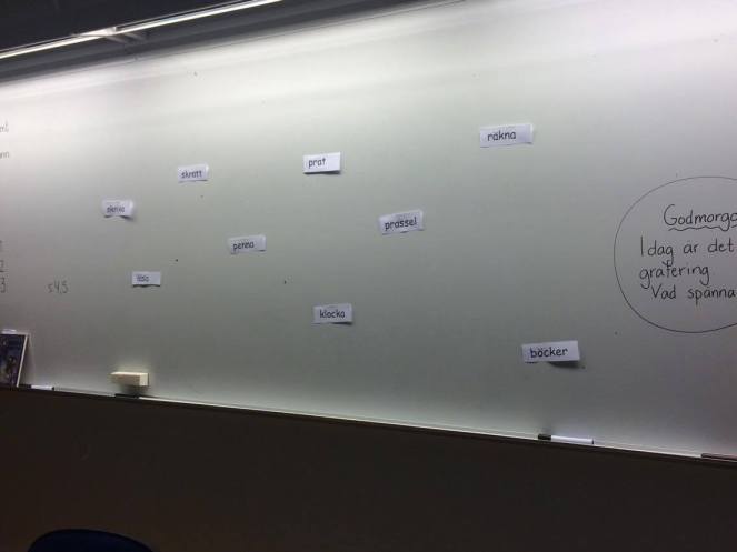 21439320_10212105535250519_1326848564_o (1).jpg