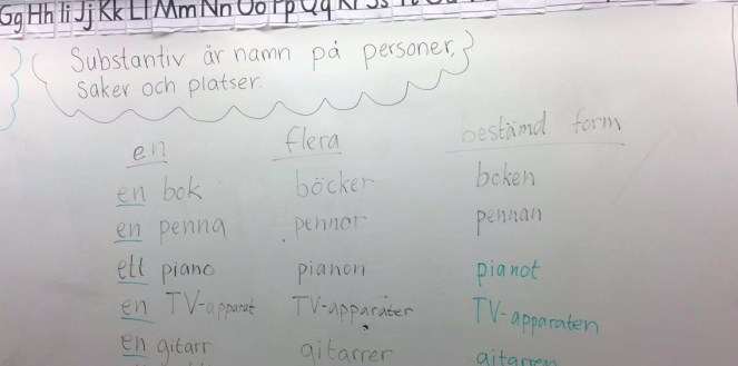 22251475_10212303166111167_955909479_o