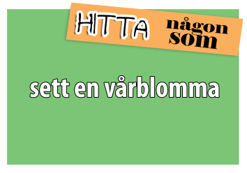 hittanågonsom_settenvårblomma