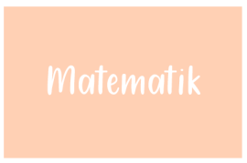 Matematik